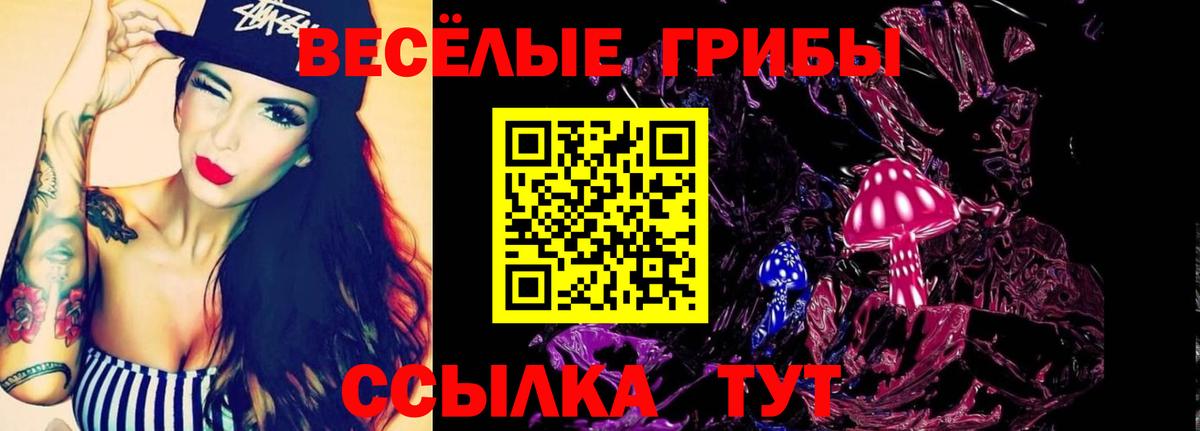 Галлюциногенные грибы Cubensis Чебоксары